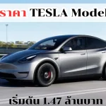 TESLA Model Y_11zon