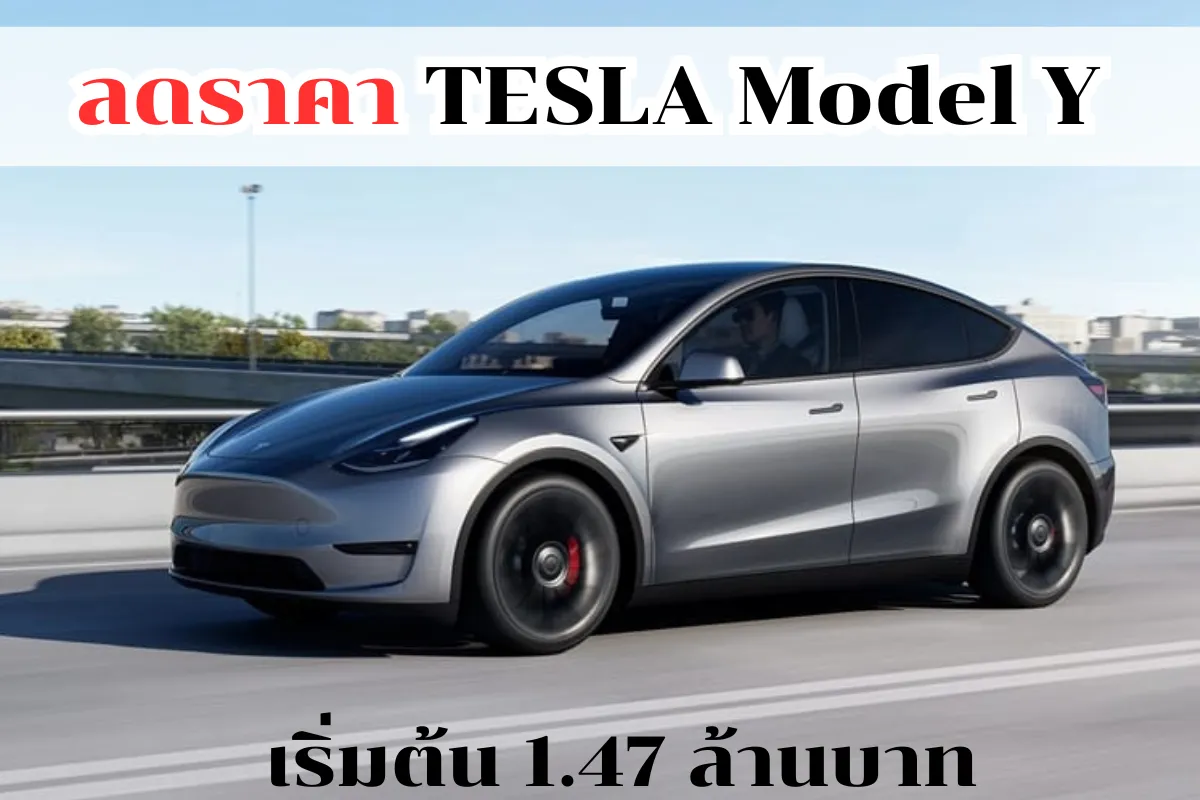 TESLA Model Y_11zon